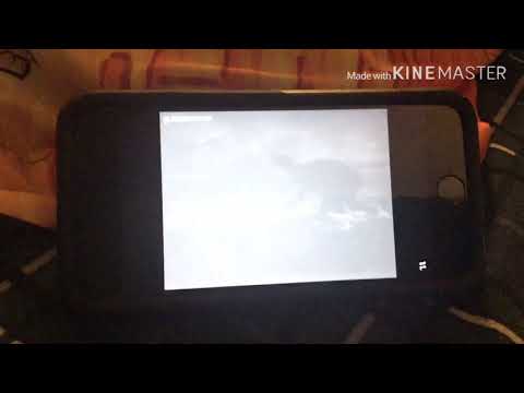 If Godzilla and Anguirus could talks in... Godzilla Raids Again