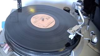 The Flies - House Of Love (vinilo)