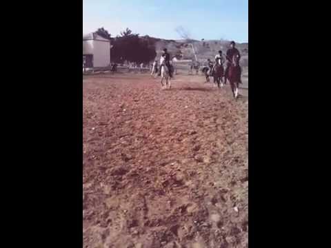 Les cavalier au galop