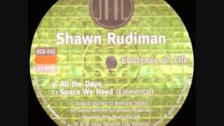 Shawn Rudiman - Rainfunk