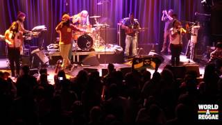 Protoje & The Idiggnation - Resist not Evil (Full HD) live at Melkweg Amsterdam