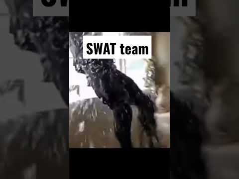 #SWAT team vs#SCP