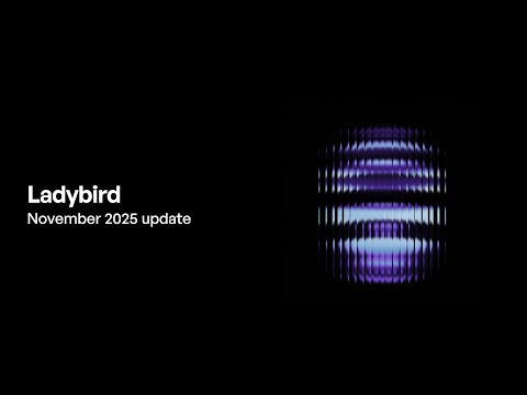 Ladybird browser update (November 2025)