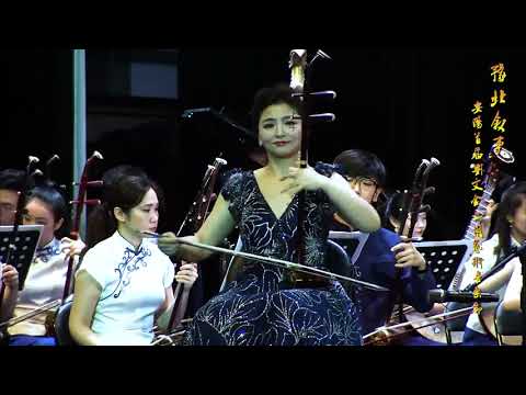豫北叙事曲（二胡）- 闫国威 / Ballad of Yubei (Erhu) - Yan Guowei