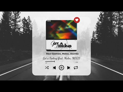 Raul Ojamaa, Malou, Soundy - Got a Feeling (feat. Malou, NOËP)
