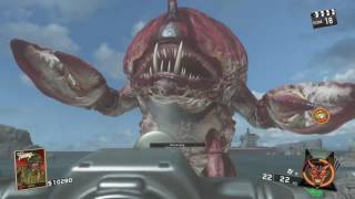 IW Zombies - Radioactive Thing FINAL BOSS Fight Tutorial (Attack of the Radioactive Thing)