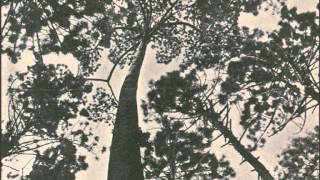 Carlos do Carmo - &quot;Uma flor de verde pinho&quot; (Manuel Alegre e José Niza)  1976