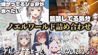 【ノエル集】白銀ノエルのセンシティブ、ぺぇ、NTR、ショタ、アヒージョ詰め合わせ【ホロライブ切り抜き】