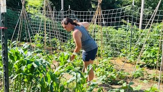 It’s About to Get Busy || A Day of Hay, Garden Work & Country Cooking || June 2025