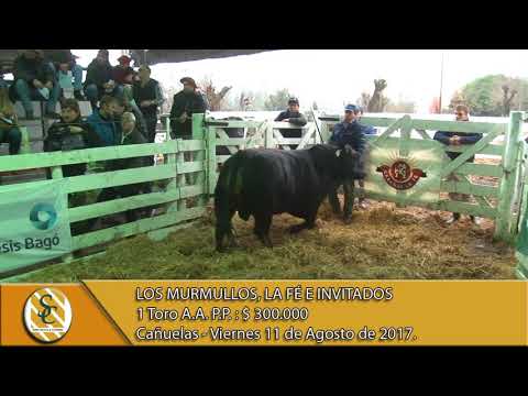 11-08-17 Venta Toros PP - Los Murmullos, La Fé e invitados - Cañuelas -