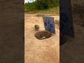 How To Make Creative Parrot Trap Youtubeshorts