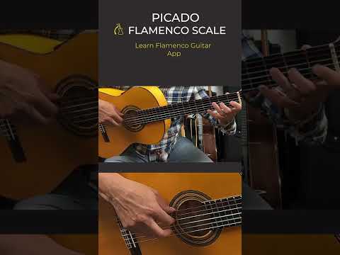 PICADO SCALE - Flamenco Guitar Lesson