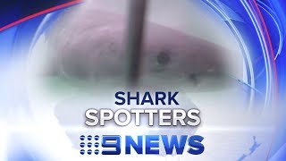 Megalodon boat attack south africa 2020