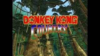 1996 Donkey Kong Country TV Show Intro [HD]
