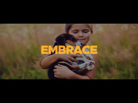 NEW VISION Fast Dynamic Modern Opener