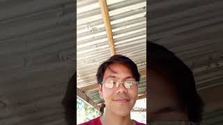 TYPES OF FLOW OF FLUID| FLUID MECHANICS VLOG