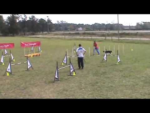 SFE2013-F3-J2-PECCIN-SUSHI