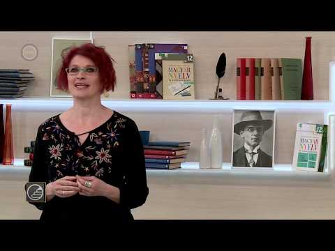 Érettségi 2017 - Magyar - Nyelvtan: érvelés, retorika