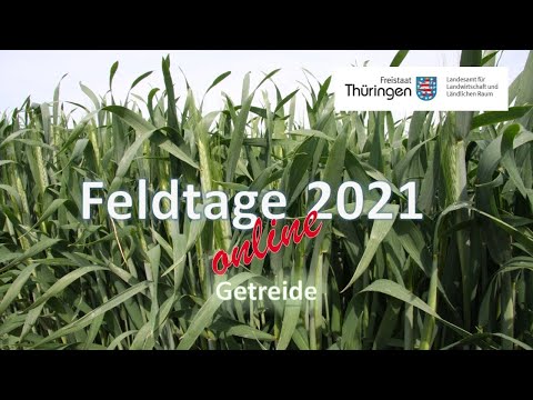 Präsentation der Landessortenversuche Sommerhafer