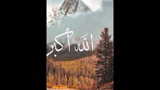 Download lagu kalian cinta ini gak yang cinta komen aku cinta Allah SWT komen ya #shortvideo #allahﷻ #islam#pypシ mp3