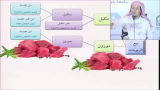 فقه المعاملات 14 - التأهيل الفقهي (الربا) عامر بهجت image