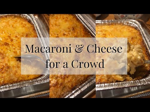Macaroni and Cheese for a Crowd Recipe