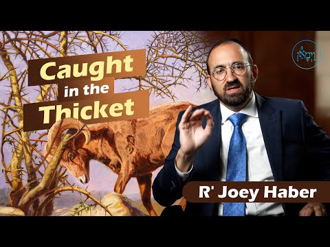 Caught in the Thicket | Rabbi Joey Haber