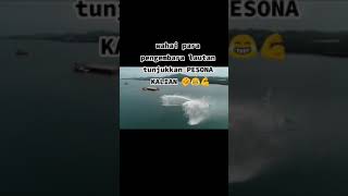 Download lagu viral story pelaut 2021 mp3 Download lagu viral story pelaut 2021 mp3