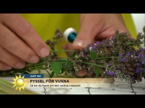 Förläng sommaren - pyssla med vackra växter du plockar själv - Nyhetsmorgon (TV4)