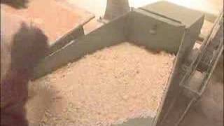 FARM-Africa Cassava project