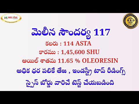 MELYNA SOUNDARYA 117