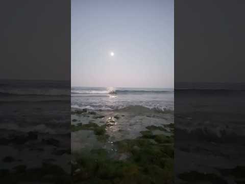 natural shoot beautiful ❤️#shortvideo #love #short#music #song#shorts