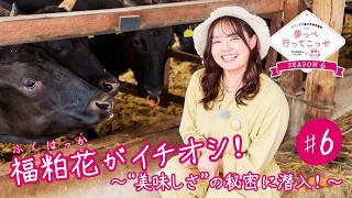 #6 福粕花がイチオシ！～“美味しさ”の秘密に潜入！～【「夢っぺ行ってこっせ」SEASON6】