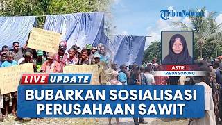 Masyarakat Adat Sorsel Bubarkan Sosialisasi Perkebunan Sawit PT ASI: Pertemuan Dilakukan Diam-diam!
