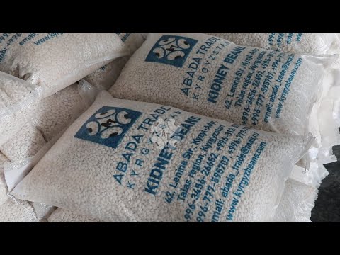 Fagioli reni kirghisi