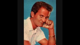 Pat Boone   WHY BABY WHY