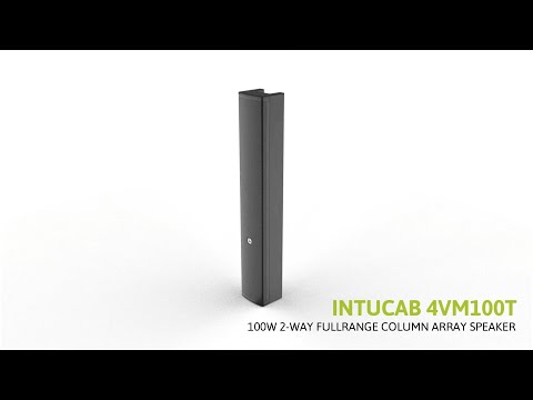 INTUSONIC 4VM100T 2-Wege Fullrange Tons?ule wei?