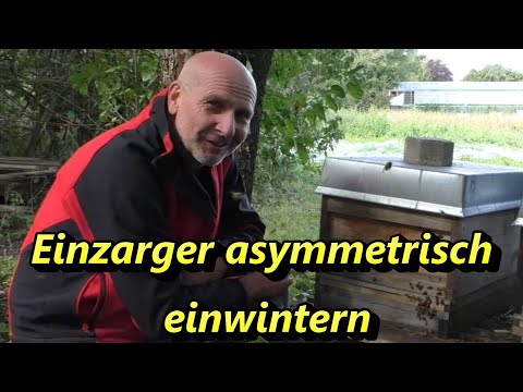 Einzarger asymmetrisch einwintern