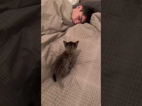 C’est pas mignon ça 🤩😂