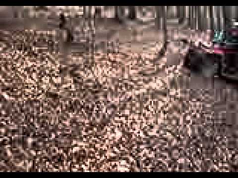 atv farcasa podina bogdan4