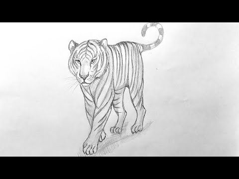 How to Draw a White Tiger ✏️🐅 | Realistic Striped Tiger Pencil Sketch #drawing #easydrawing