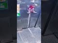 Dog get stock in the elevator #fails #crash