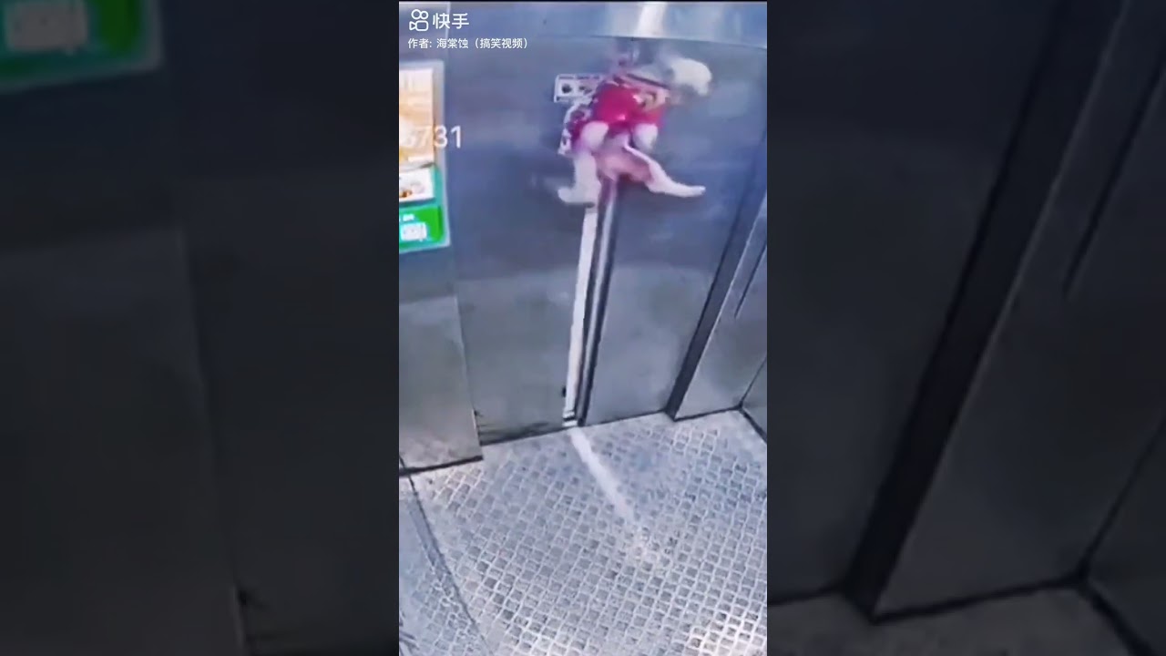 Dog get stock in the elevator #fails #crash