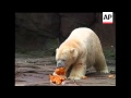 Animals At The Detroit Zoo Terrorize Pumpkins And Other Features Of The Fall Harvest Alternately De
