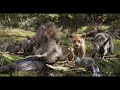 The Lion King Timon And Pumbaa Telugu