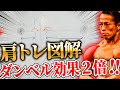 【肩トレ】理想のメロンを作れ!ダンベルでできる効果2倍の最強筋トレ徹底図解!【ダイエット】