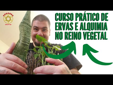 Apresentação do Curso | Curso prático de ervas - A Alquimia no Reino Vegetal | Umbanda Grátis