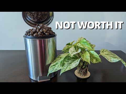 5 reasons why I gave up on LECA