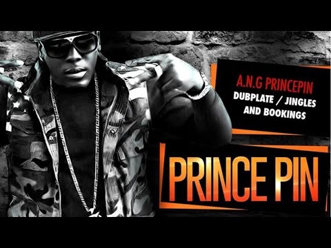 Prince Pin - Badness [Speedometer Riddim] November 2014