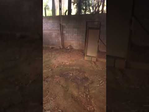 Chácara com 2 quartos, 10000m², à venda em Nazaré Paulista, Morro Grande